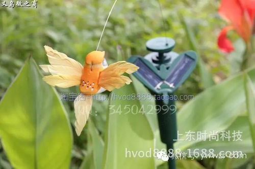 太陽能蝴蝶與蜂鳥 義烏直銷點(diǎn)亮戶外裝飾與創(chuàng)意禮品新潮流