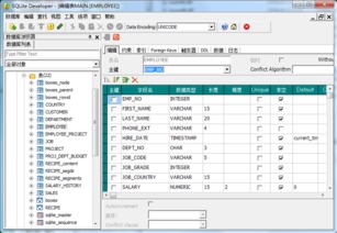 SharpPlus SQLite Developer 4.1.6.548 破解版 風(fēng)險與正規(guī)數(shù)據(jù)庫管理方案探討